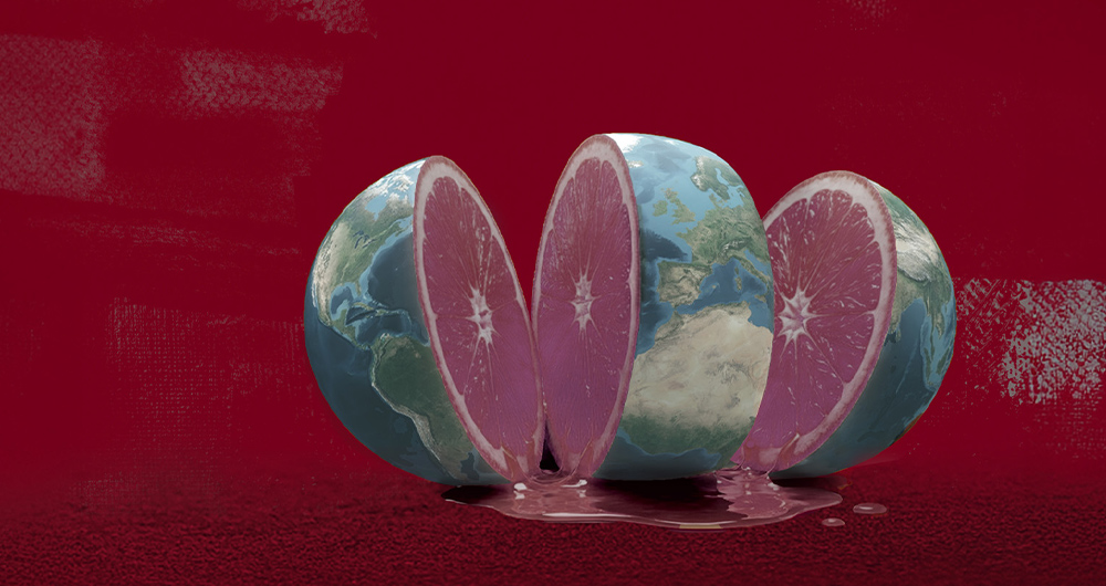 El mundo se fragmenta, la oportunidad se concentra
