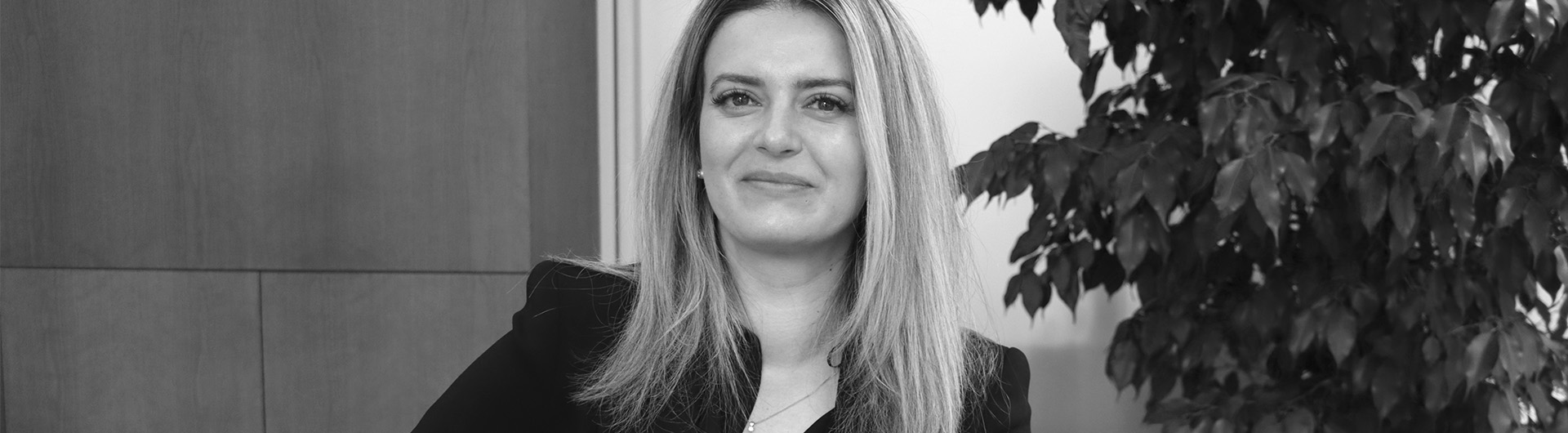 Andrea Mustatea